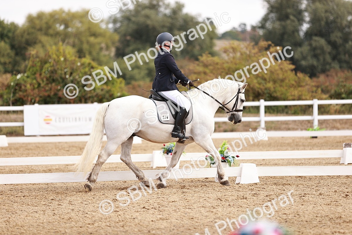 SBM_018027 - Class 15 - Prelim 6