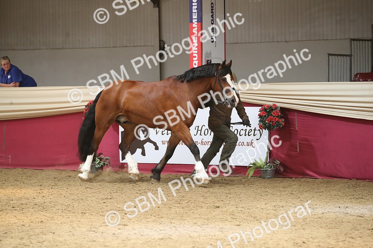 SBM_05590 - Class 9R - Regional IH Pre-Vet