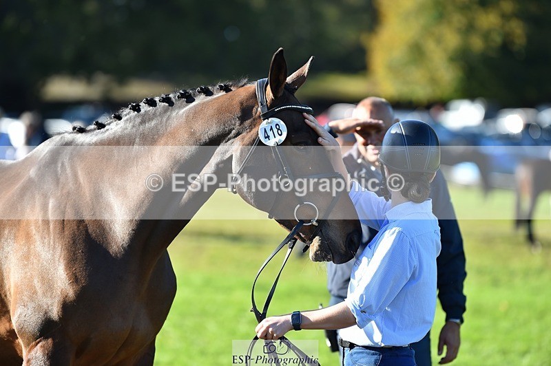 231022-105456-23585 - 418-PENHILL.REX-Lesley.Mitton-TrotUp+SJ