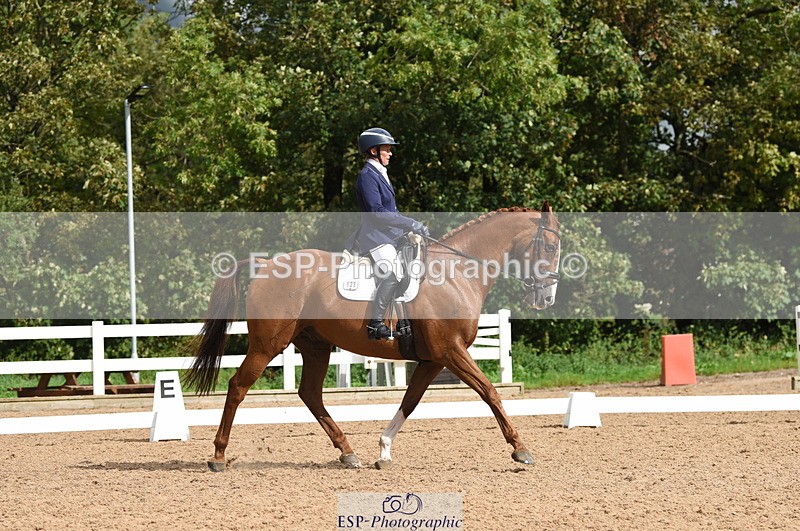 230912A-111228-00535 - Cls 7 Elementary 40