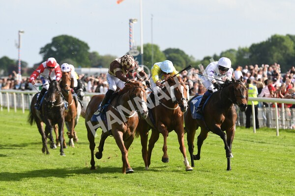 yr21052022r7-23 - Race 7: 5:15pm Reg Bond Always and Forever Stakes
