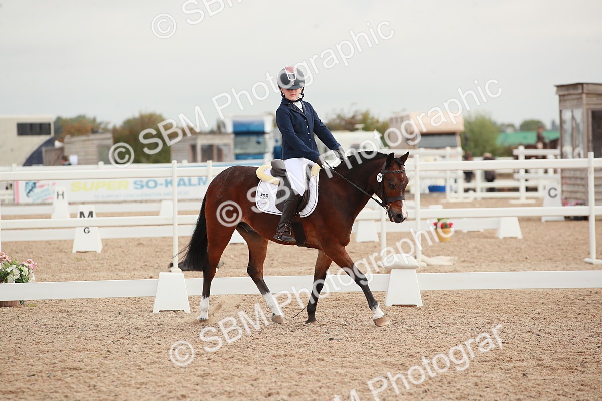 SBM_02515 - Class 30 - Intro 1