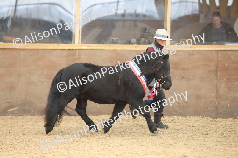 20251109-0142 - Championship