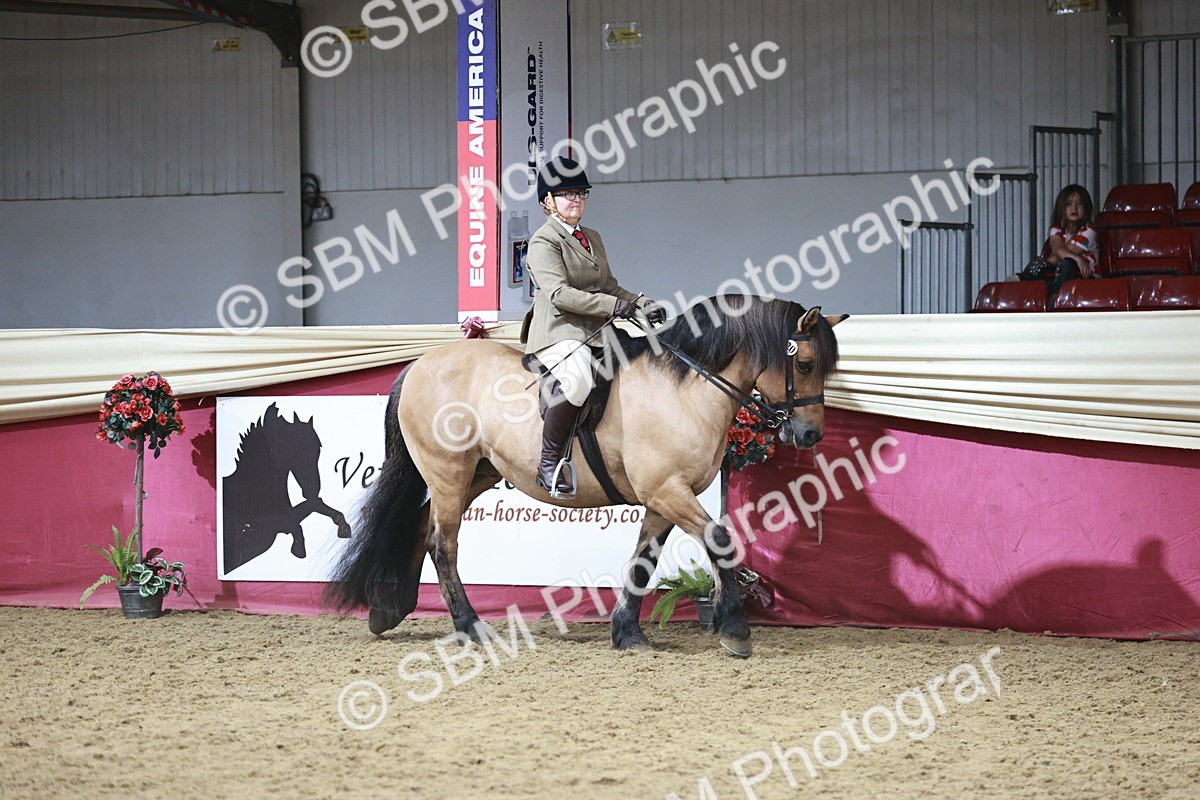 SBM_07991 - Class 11R - Regional Ridden Veteran