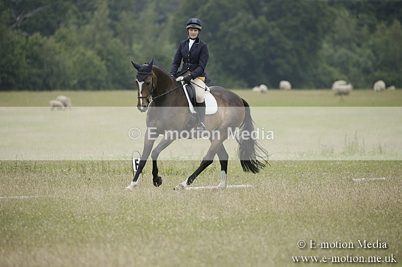 B230619-0900 - Bourne Valley Riding Club Summer Show 23/06/19