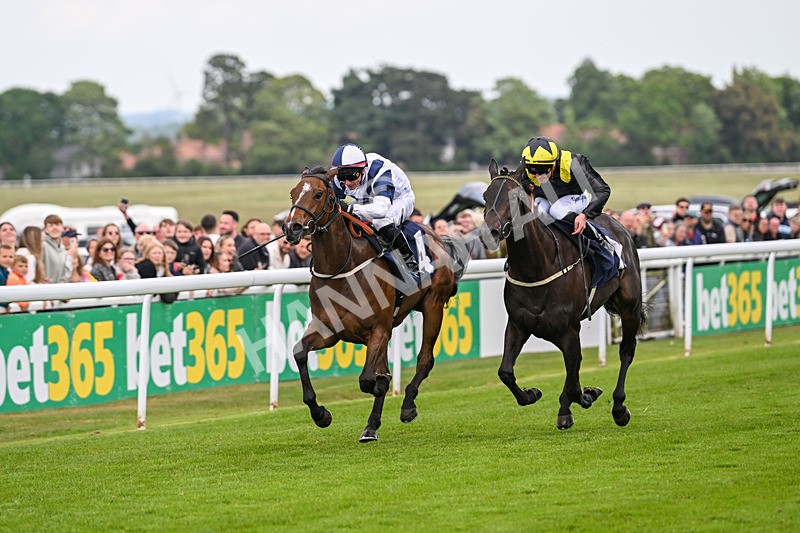 240525-Race 2-Argentine Tango-0265 - Race 2