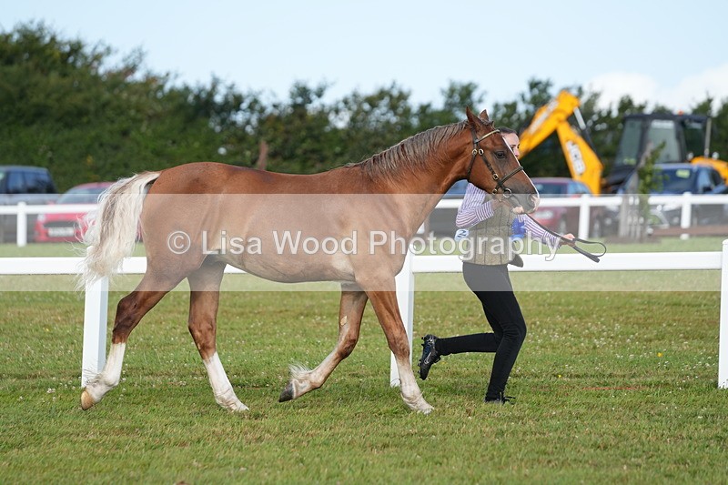 DSC04873 - Class 47: NPS M&M Yearling