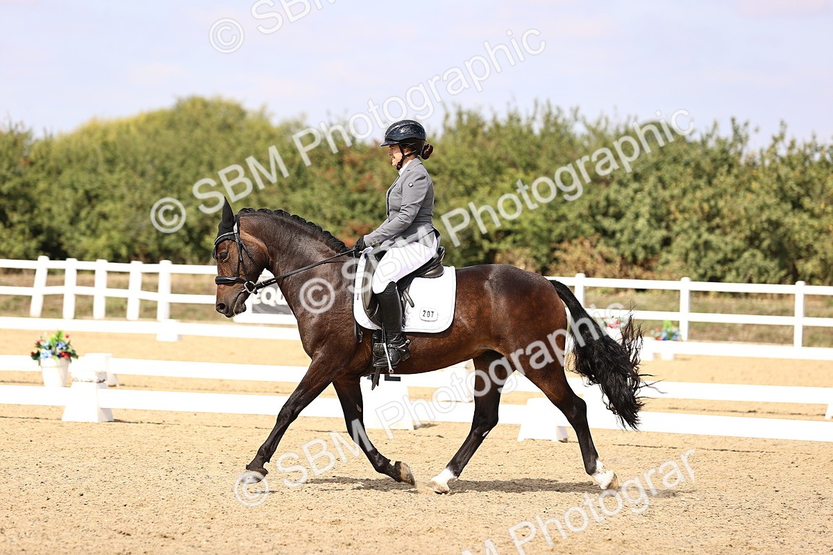SBM_015014 - Class 6 - Elementary 5