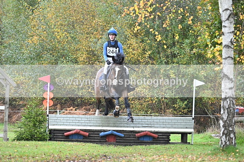 WJ7_3983 - 90cm Cam 2 Water Time 14:09 to 14:30