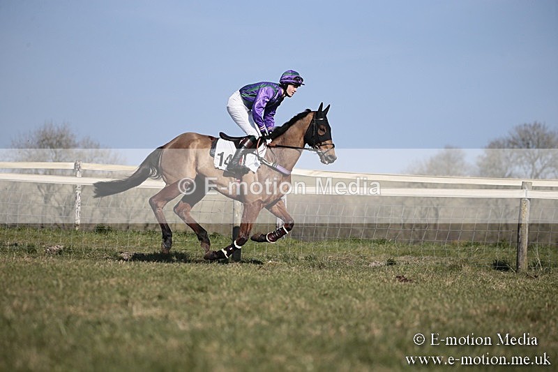 PtP 240218 221 - Vine & Craven Hunt Point-to-Point Barbury racecourse 24/02/18