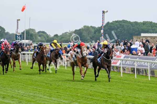 160524-Race 2-Point Lynas-5404 - Race 2 2.45pm Oakmere Homes Hambleton Handicap