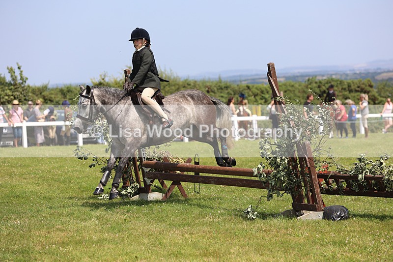 JPP_2609 - Class 21: Working Hunter 60cm