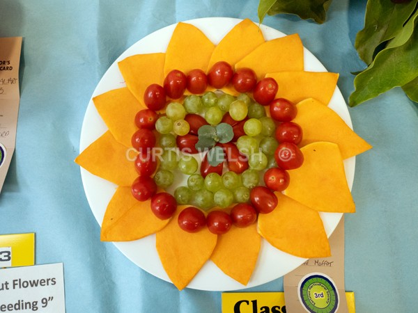 selected120 - EARLSTON FLOWER SHOW. 2025