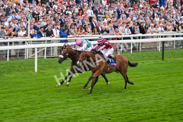230825-Race 2-Tarriance-0024 - Race 2 2.25pm Sky Bet Melrose Handicap