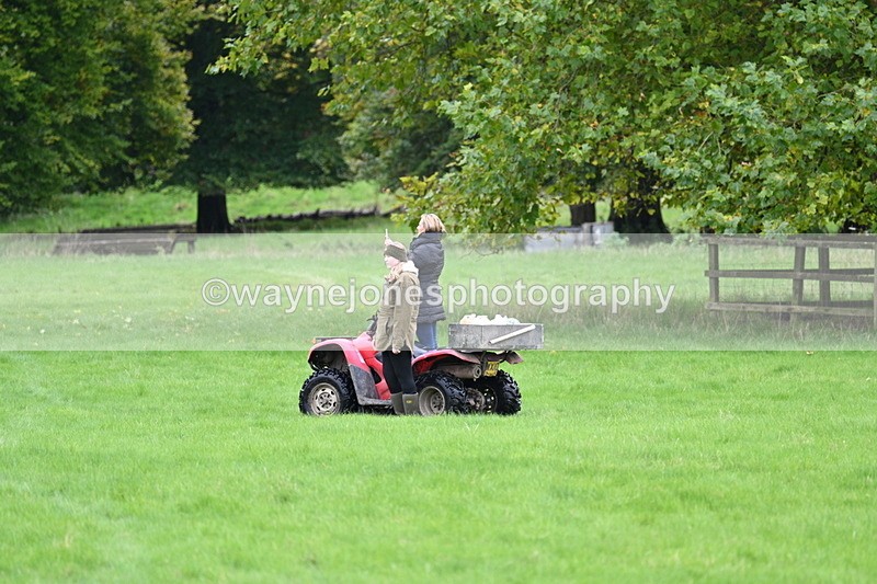 WJ7_4302 - Camera 1 Line 3