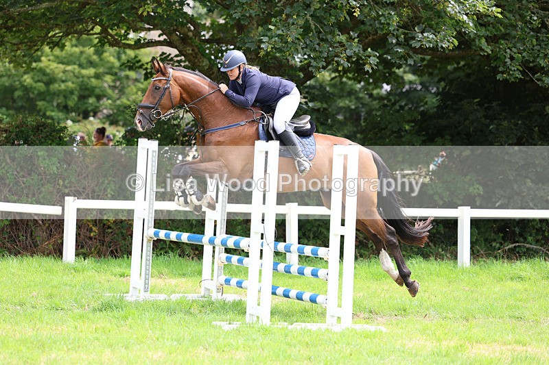 3E7A7311 - Class 5: Senior British Novice/90cm open