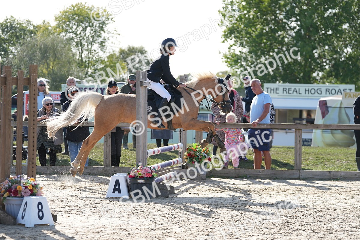 SBM_49258 - J8 - Junior Pony 65cm Championship