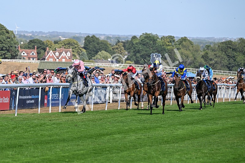 120826-Race 5-Ciao Capo-6925 - Race 5 16.15pm Cayenne Electric At Porsche Centre Hull Handicap