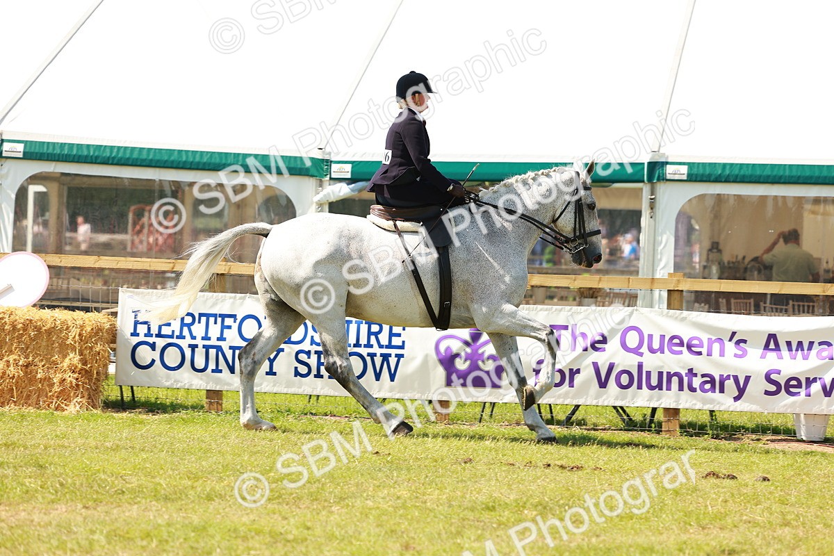 SBM_13370 - Class 70-71 - Side Saddle