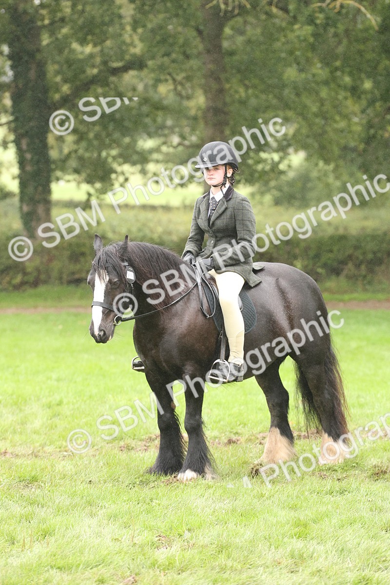 SBM_72765 - S70 - Traditional Cob Ridden