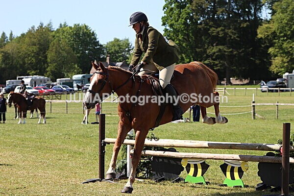 IMG_4577 - Working Hunter