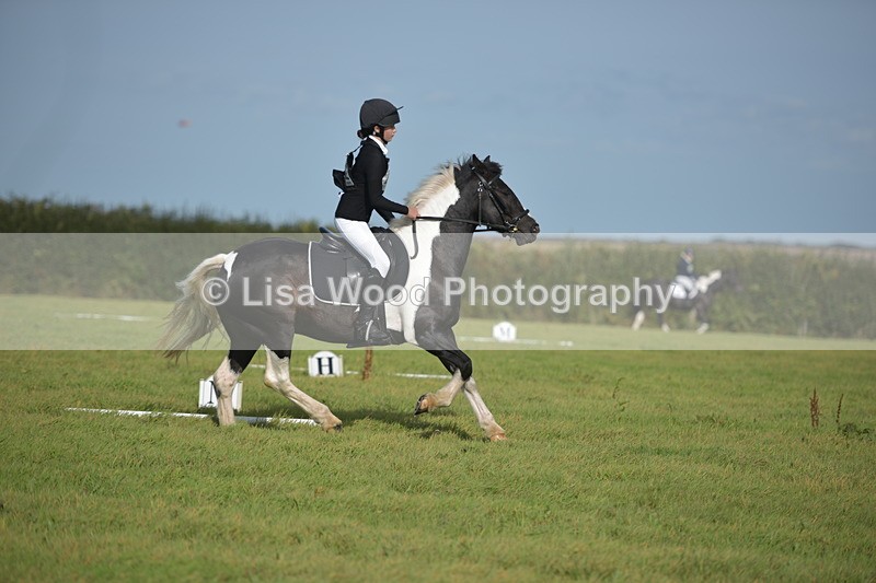 RAY_7641 - Class 2B: Trekenning Open: Dressage