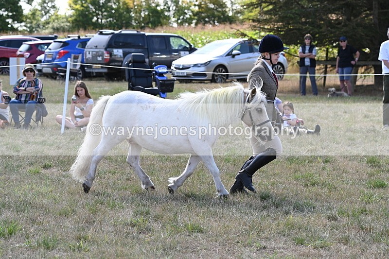 WJ6_4933 - Class 17 Mountain & Moorland