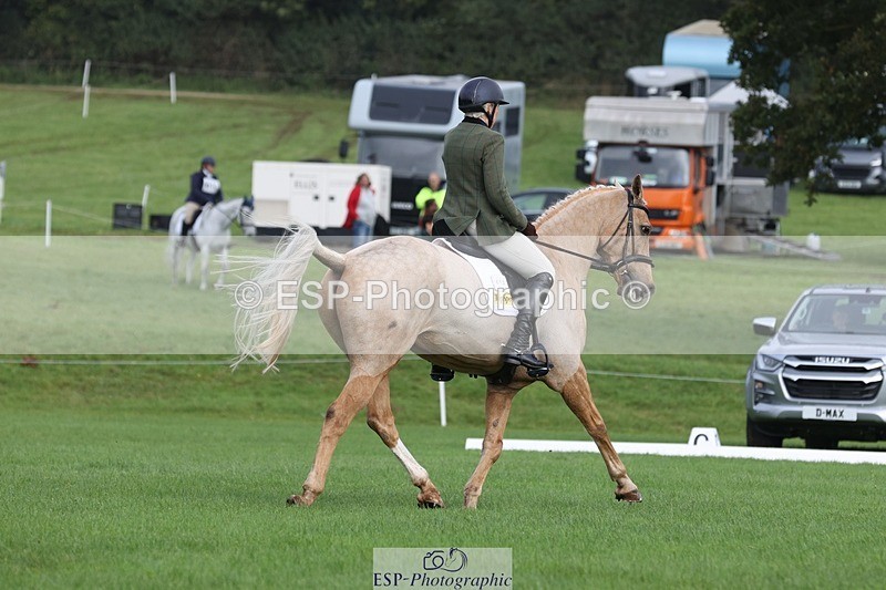 231019-110913-02569 - 612-CORRIEVIEW.MERLIN.MAGIC-Jane.Rogers-DR