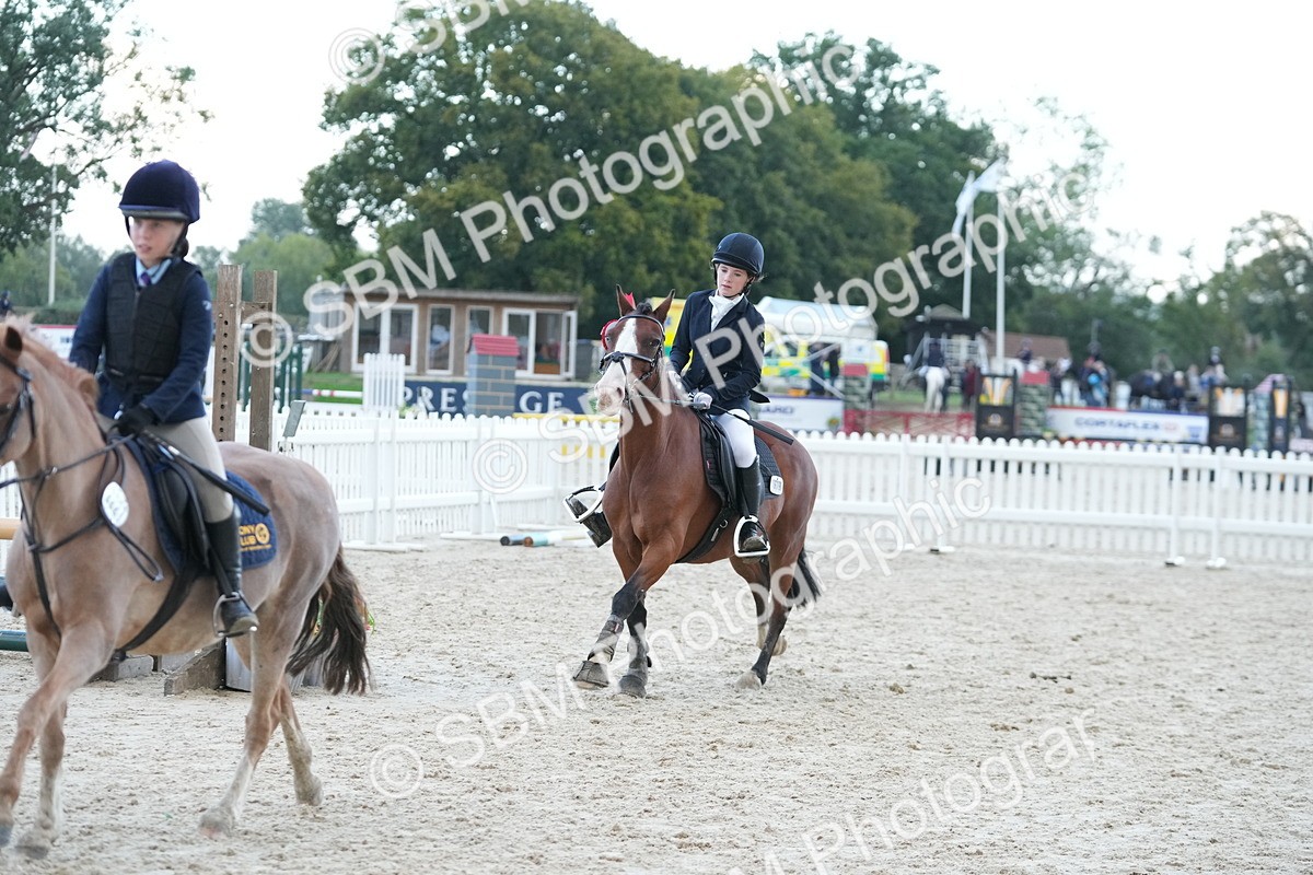 SBM_54272 - Supreme Championship 60cm 65cm