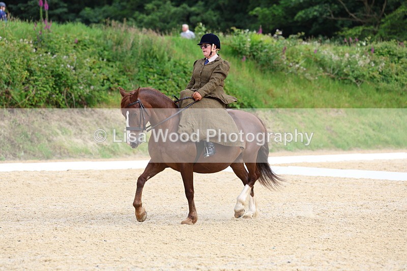 3E7A1601 - Class 2: Intro 2 2024 Section B