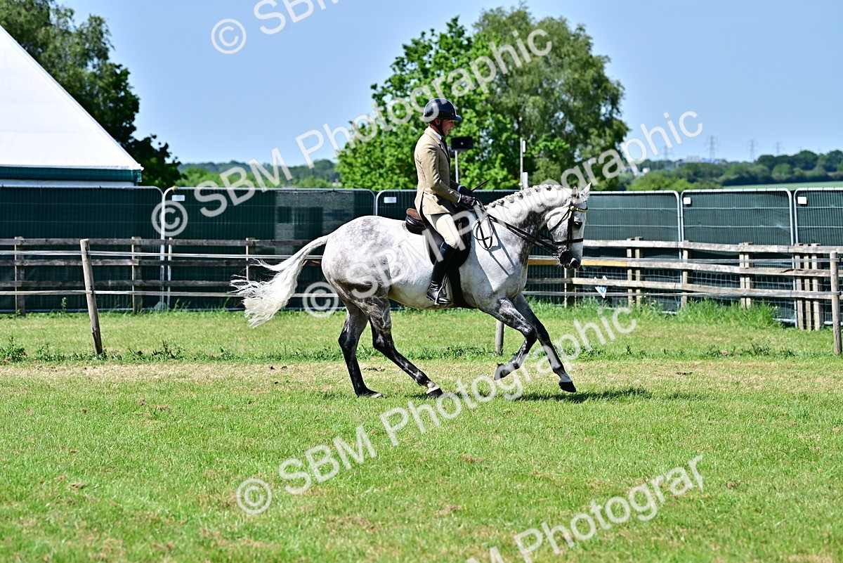 SBM_18223 - Class 99-100 - Retraining of Racehorses Ridden
