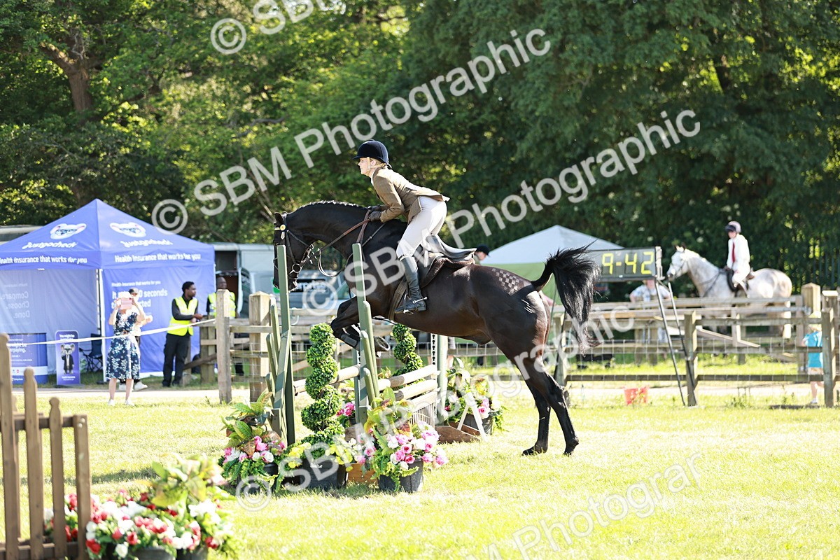 SBM_19164 - Class 115-116 - LIHS BSHA Rising Star Working Hunter & Show Horse