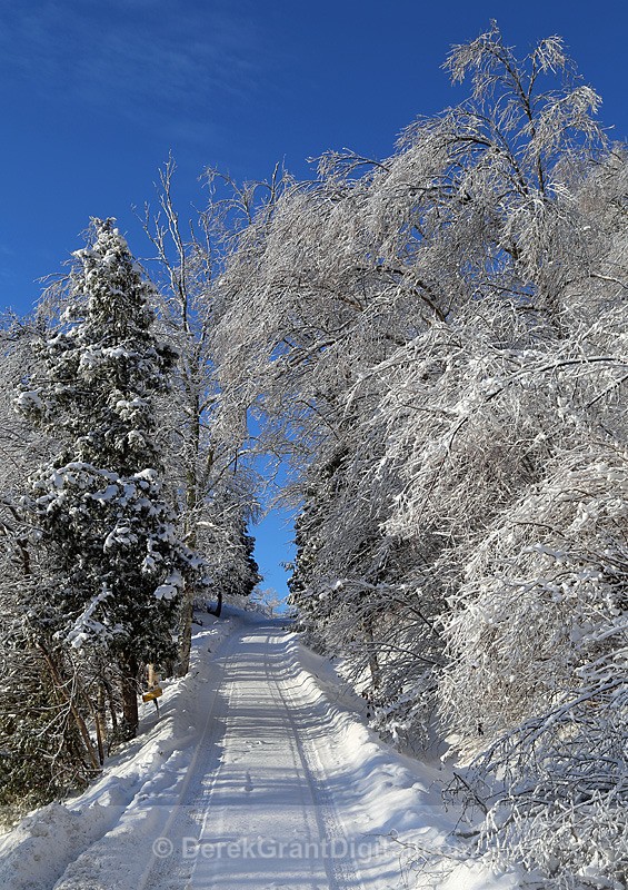 Ice Road - Winterscape