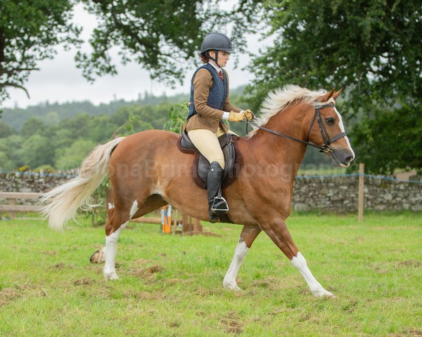 Dunblane show-544 - Dunblane and Doune Show Ring 1