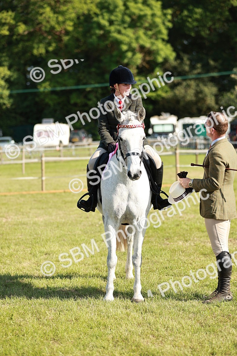 SBM_19337 - Class 115-116 - LIHS BSHA Rising Star Working Hunter & Show Horse