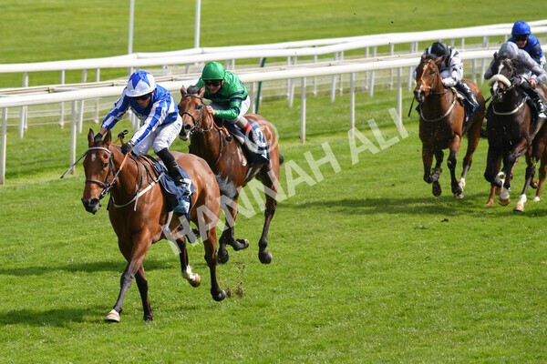 yr13052021r5-12 - Race 5 3.40pm British Stallion Studs EBF Westow Stakes
