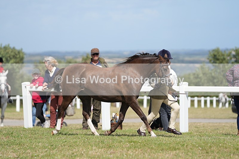 DSC07572 - Class 62: Child Handler