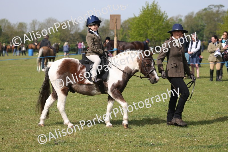 20260426-0573 - Class 31 - Leading Rein