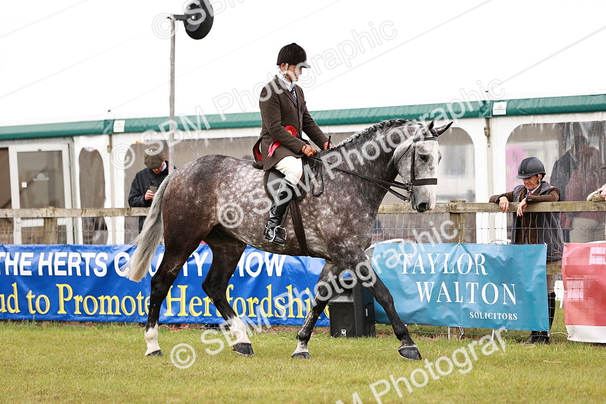 SBM_11539 - Class 81-84 - RIHS Ridden hunters Inc Ladies Hunter