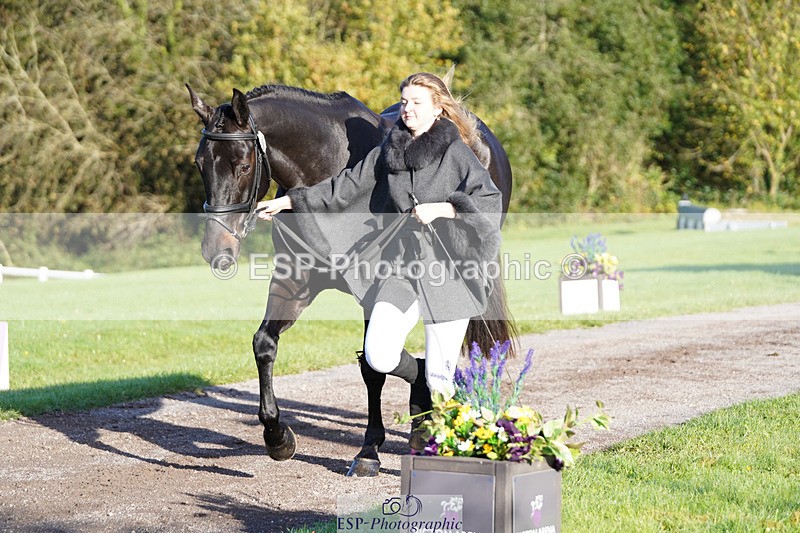 241026-100936-11655 - 002-Ellie.Fredericks-BRITANNIA'S.OLIVE