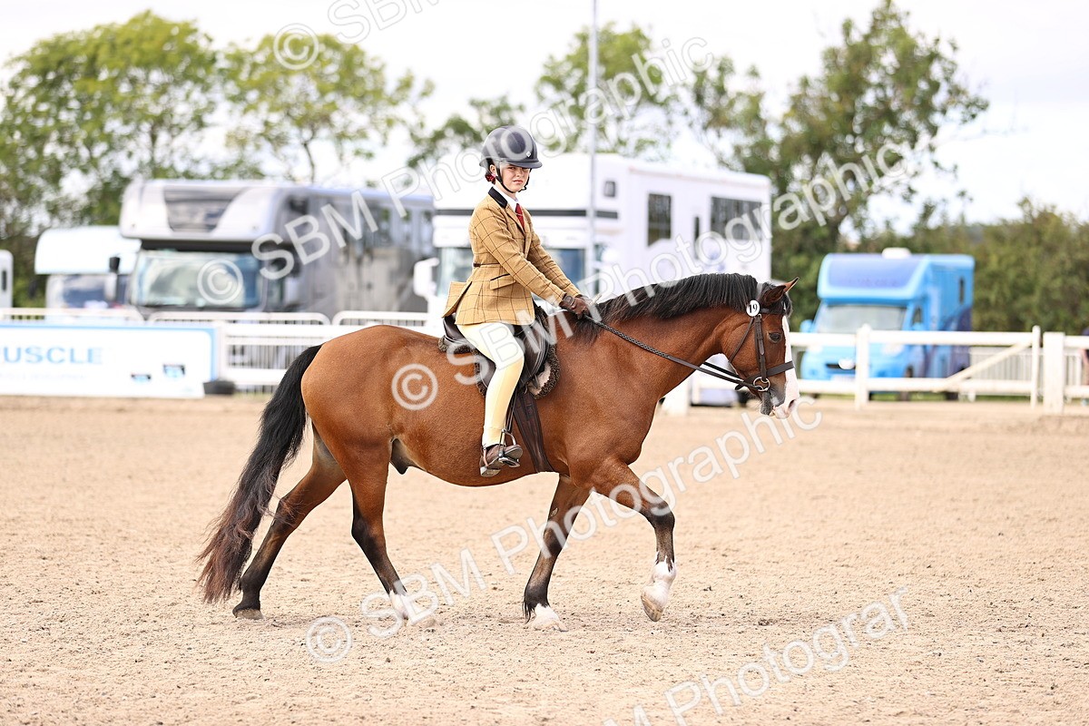 SBM_12819 - Class 409 - Grassroots Ridden - Pony