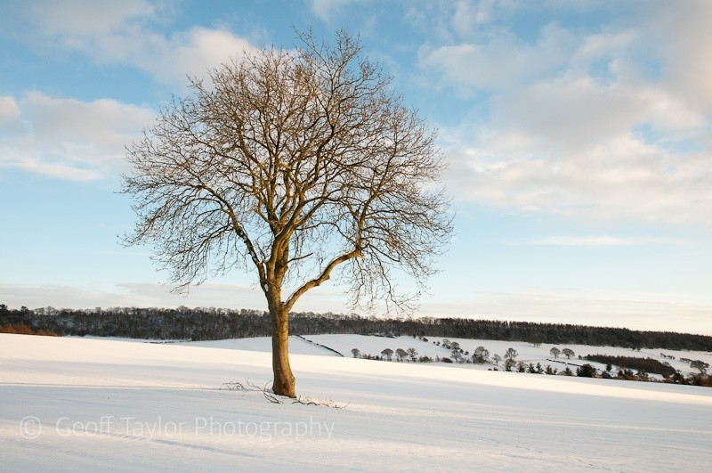 Above Middlehope - Wenlock Edge