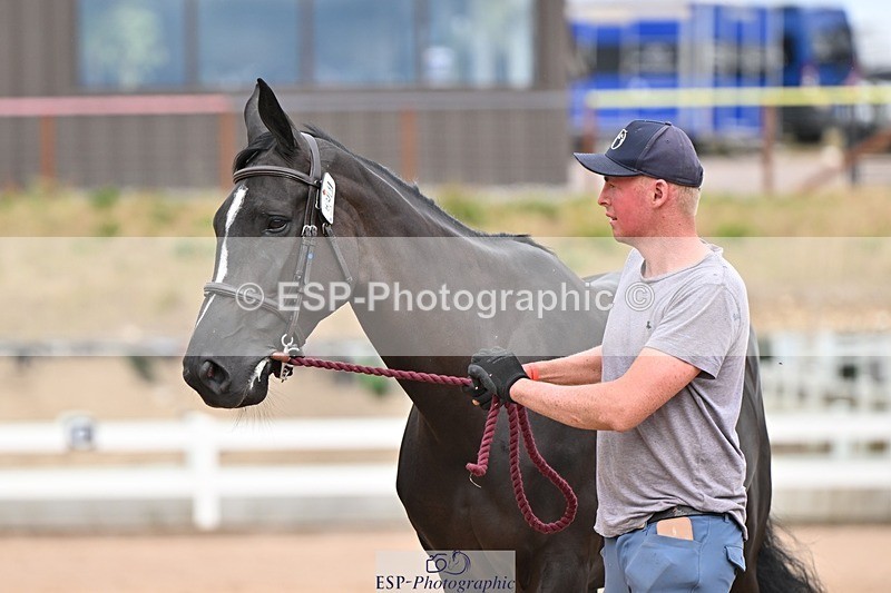 250716-162846-02645 - Trot Up 3.30 to 4.30