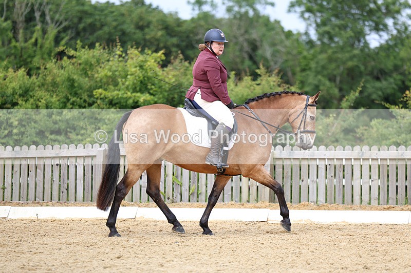 3E7A9117 - Class 2: Intro 1 2024 Section B