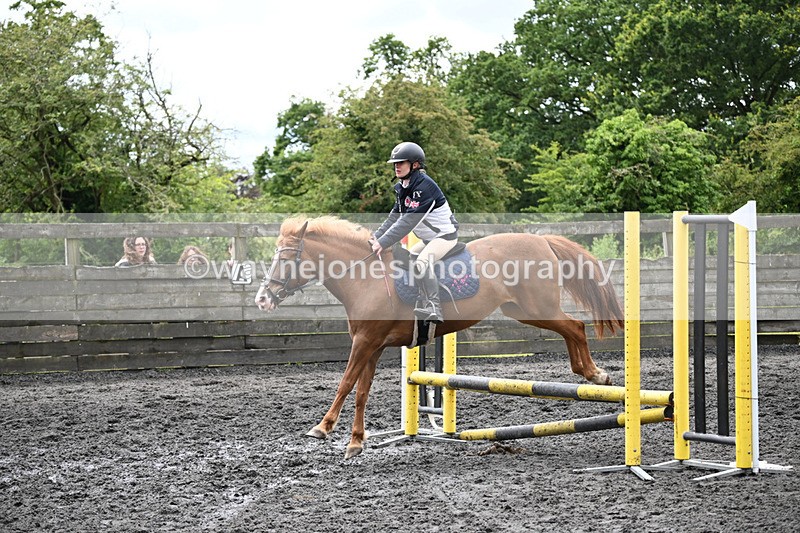 WJ6_0165 - Class 13 Novice 60cm