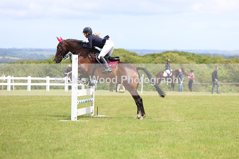 3E7A7310 - Class 13: Senior British Novice/90cm open