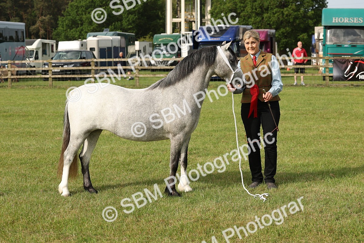 SBM_00452