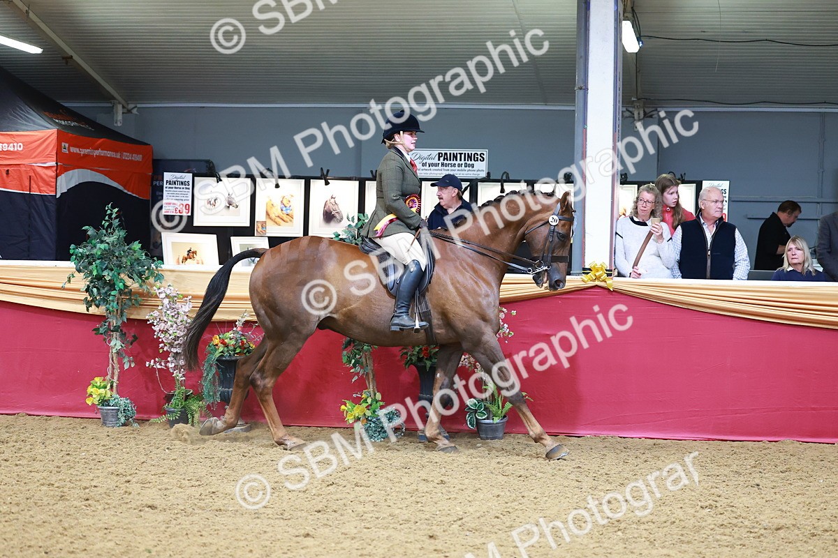 SBM_09884 - Class 102 - HOYS Veteran Qualifier - Ridden Veteran