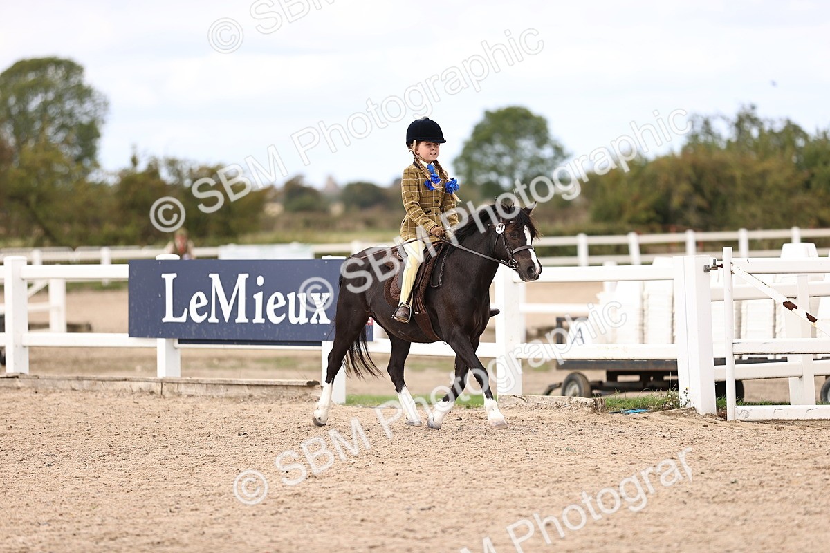 SBM_15939 - Class 416 - Prettiest Mare (IH or Ridden) Jnr