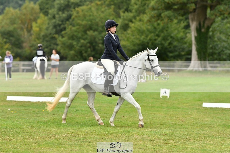 250820A-121709-05532 - 12 to 13.00